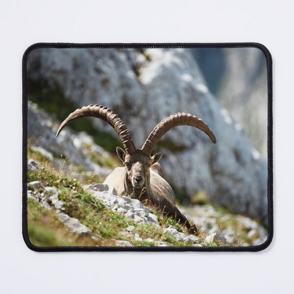 Item preview, "Relax" designed and sold by Andreas Koerner.