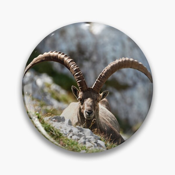 Item preview, "Relax" designed and sold by Andreas Koerner.
