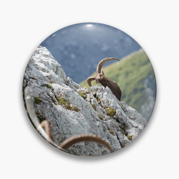 Item preview, "Stretching" designed and sold by Andreas Koerner.