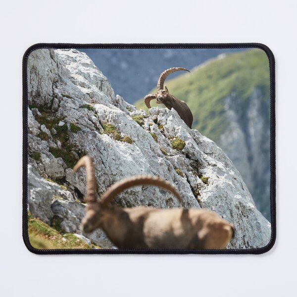 Item preview, "Stretching" designed and sold by Andreas Koerner.