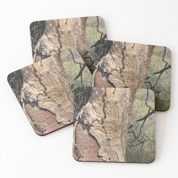Item preview, Cunnamulla Textures designed and sold by ComicJo.