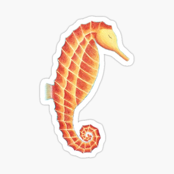 The Peaceful Solitary Seahorse Sticker