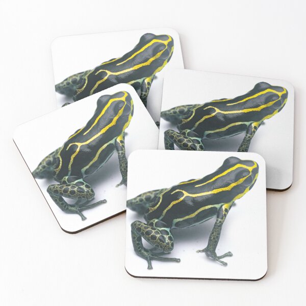 Item preview, Zimmermann's Poison Frog (Ranitomeya variabilis), French Guiana designed and sold by vincentpremel.