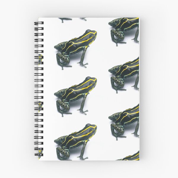 Item preview, Rana venenosa de Zimmermann (Ranitomeya variabilis), Guayana Francesa designed and sold by vincentpremel.