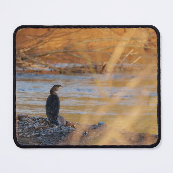 Item preview, Riverside Cormorant  designed and sold by ClarkeGreening.