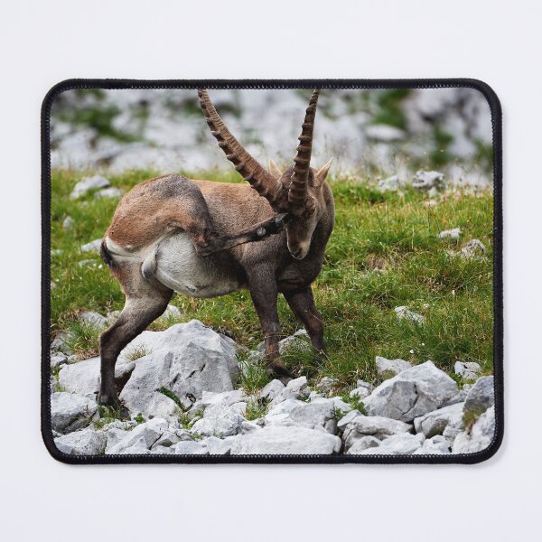 Item preview, "Salute" designed and sold by Andreas Koerner.