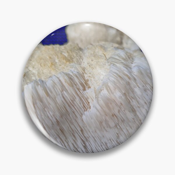 Item preview, Lion's Mane  mushroom  designed and sold by Dr. Gabriella Korosi.