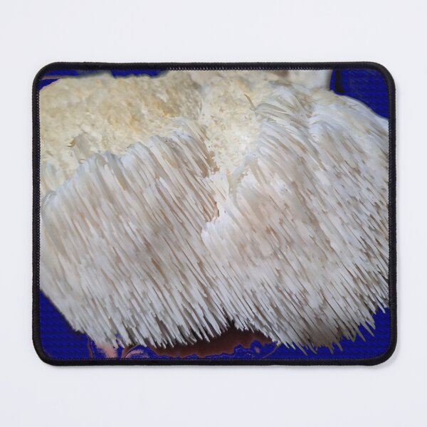 Item preview, Lion's Mane  mushroom  designed and sold by Dr. Gabriella Korosi.