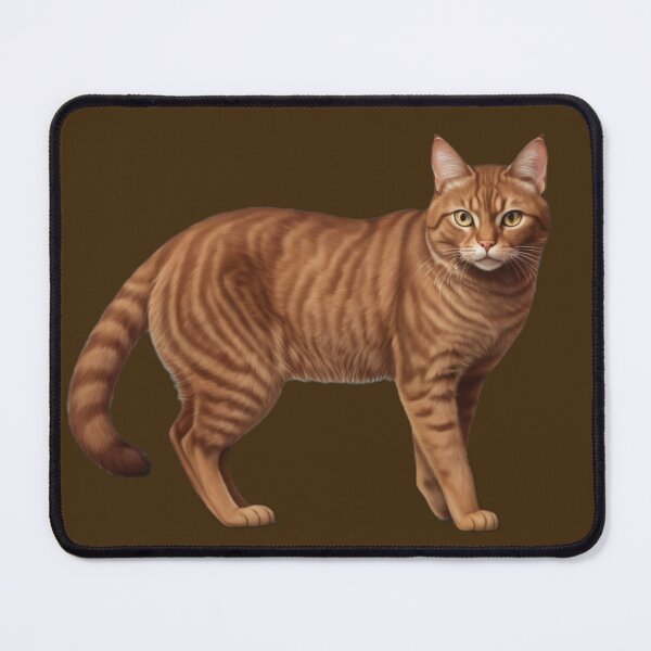 Item preview, Domestic brown cat designed and sold by PierreAlbijanic.