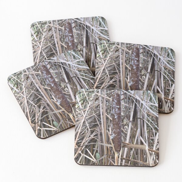 Item preview, dry cattail seed heads of fluffy cattail designed and sold by mrivserg.