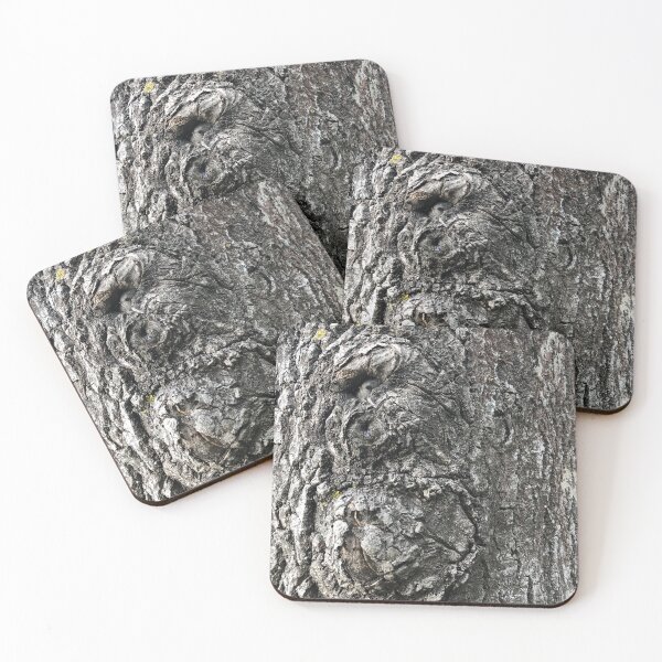 Item preview, rough cracked bark, huge old tree background designed and sold by mrivserg.