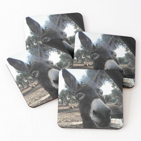 Item preview, Curious Donkey: Head Inside the Car Window designed and sold by EpicVistas.