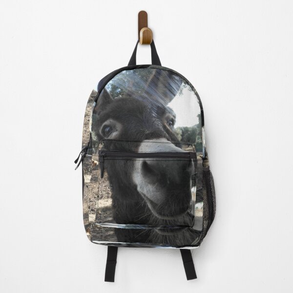 Item preview, Curious Donkey: Head Inside the Car Window designed and sold by EpicVistas.