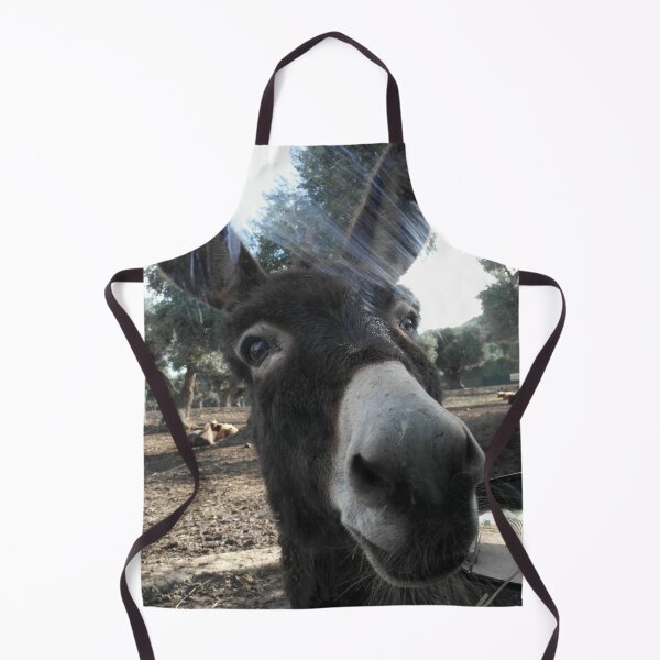 Item preview, Curious Donkey: Head Inside the Car Window designed and sold by EpicVistas.