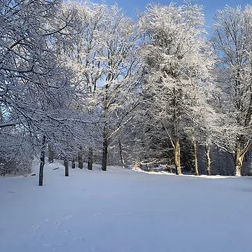 Artwork thumbnail, Winter by Designfs