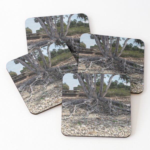 Item preview, Wild Roots designed and sold by heatherfriedman.