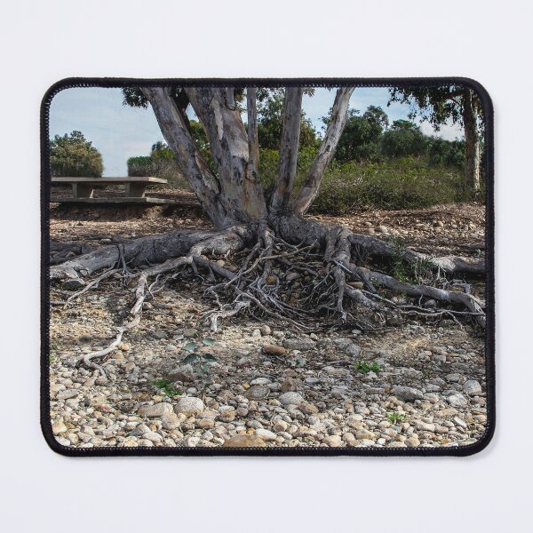 Item preview, Wild Roots designed and sold by heatherfriedman.