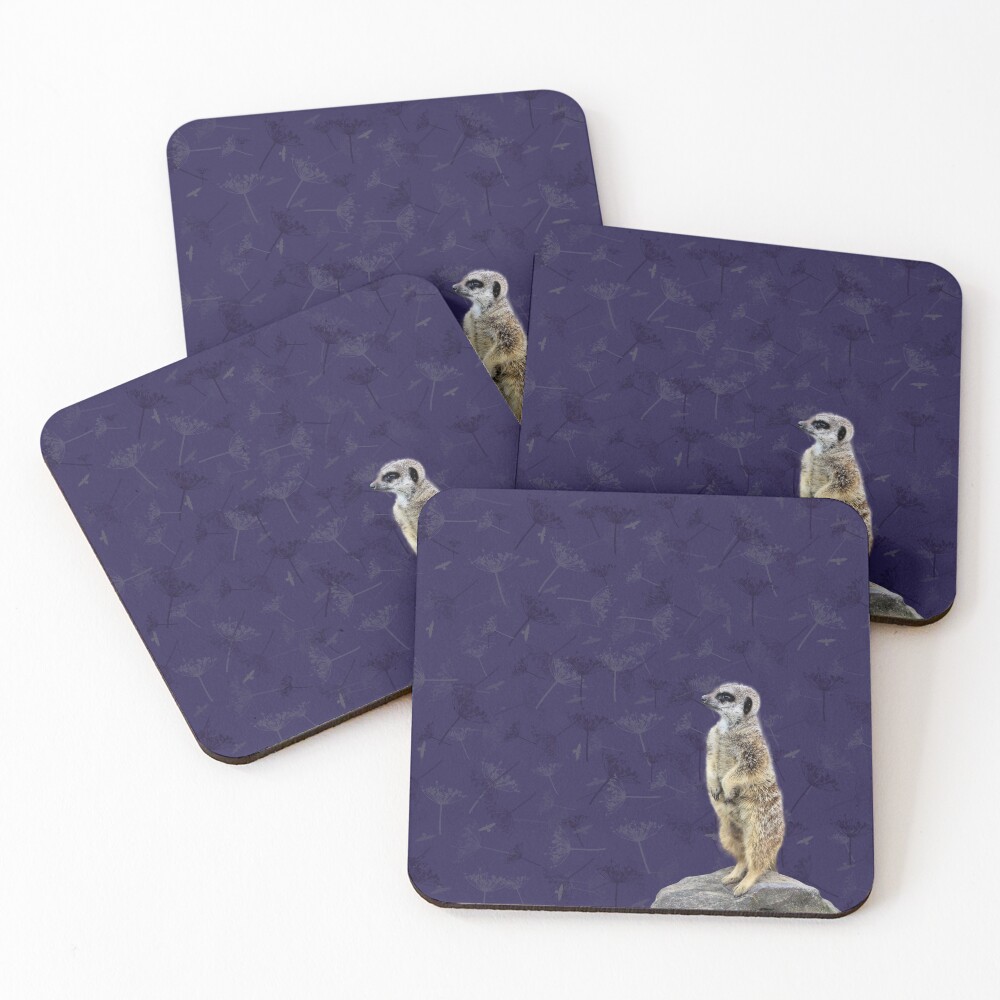 Meerkat Coasters (Set of 4)