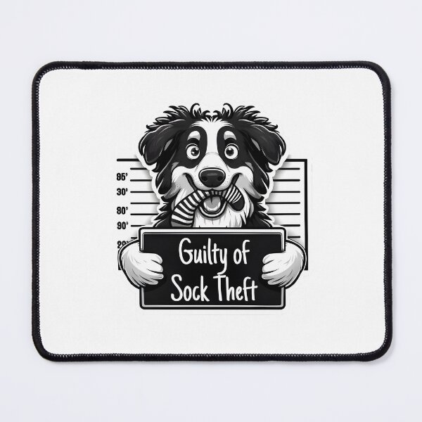 Item preview, Australian shepherd - guilty of sock theft designed and sold by digital.stickerperso.com.