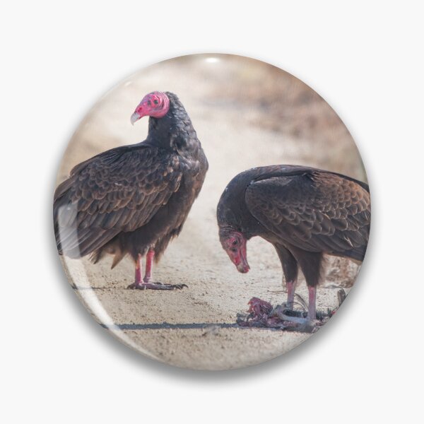 Item preview, Turkey Vultures With Lunch designed and sold by CarolM.