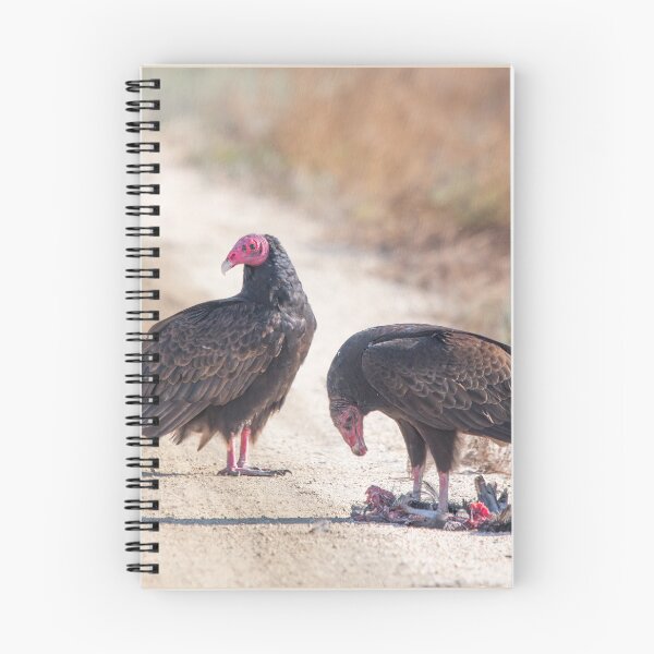 Item preview, Turkey Vultures With Lunch designed and sold by CarolM.