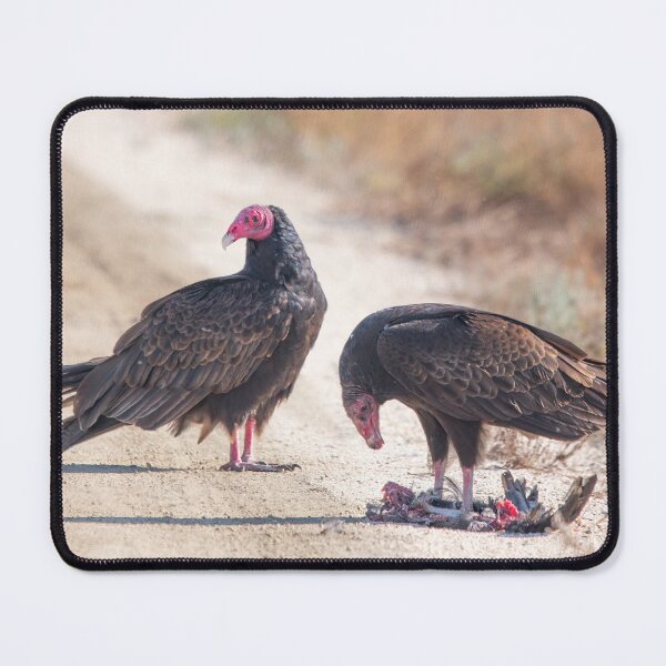 Item preview, Turkey Vultures With Lunch designed and sold by CarolM.