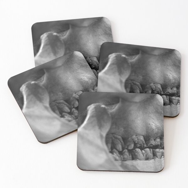 Item preview, SKULL 009 - Abstract Anatomical Photography designed and sold by SageFolio.