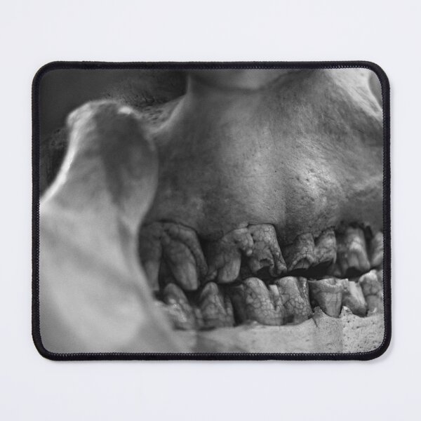 Item preview, SKULL 009 - Abstract Anatomical Photography designed and sold by SageFolio.