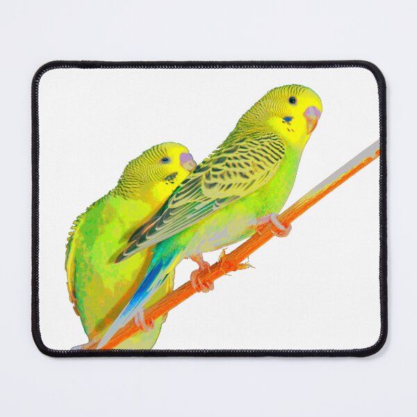 Item preview, Budgies Parakeets designed and sold by KingdomWildlife.