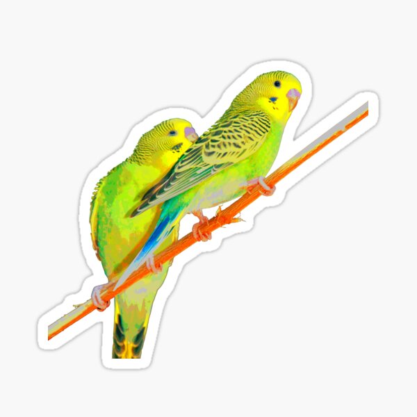 Budgies Parakeets Sticker