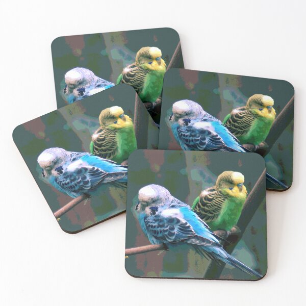 Item preview, Chubby Budgies/Parakeets designed and sold by KingdomWildlife.