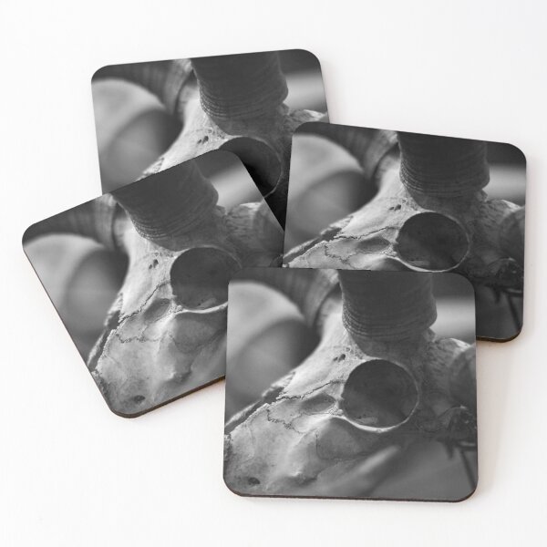 Item preview, SKULL 011 - Abstract Anatomical Photography designed and sold by SageFolio.