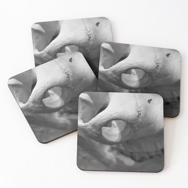 Item preview, SKULL 012 - Abstract Anatomical Photography designed and sold by SageFolio.