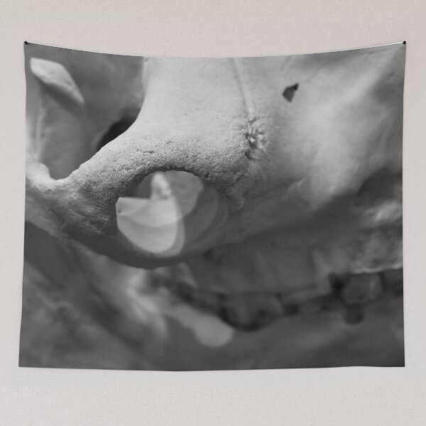 Item preview, SKULL 012 - Abstract Anatomical Photography designed and sold by SageFolio.