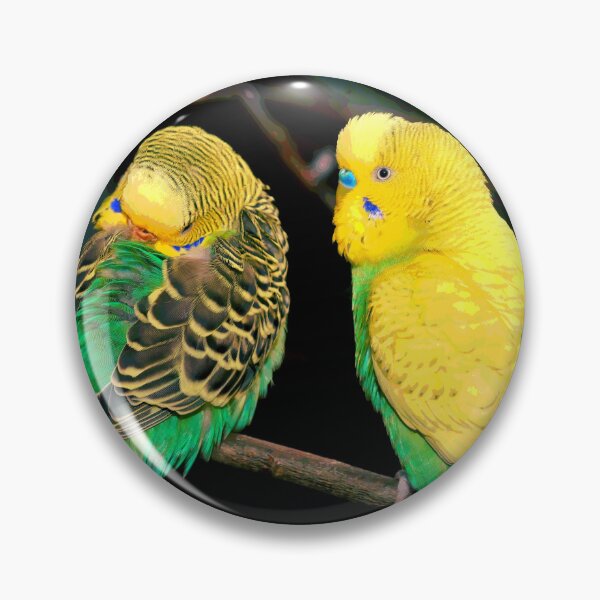 Aperçu de l'œuvre Deux Birbs créée et vendue par KingdomWildlife.