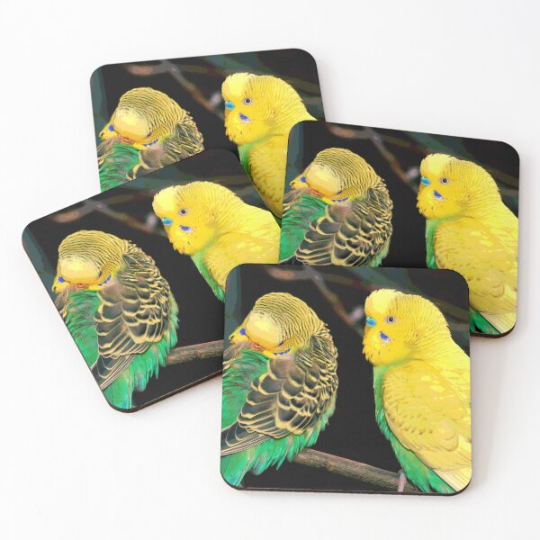 Item preview, dos birbs designed and sold by KingdomWildlife.