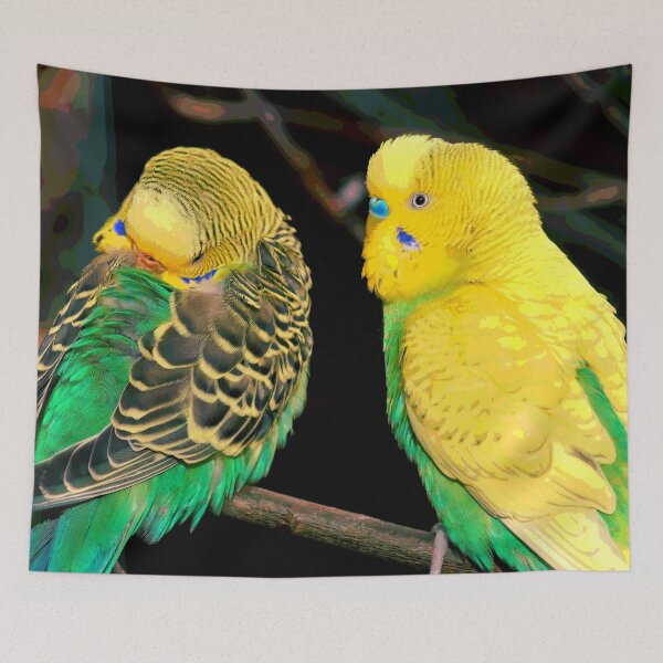 Item preview, Two Birbs designed and sold by KingdomWildlife.