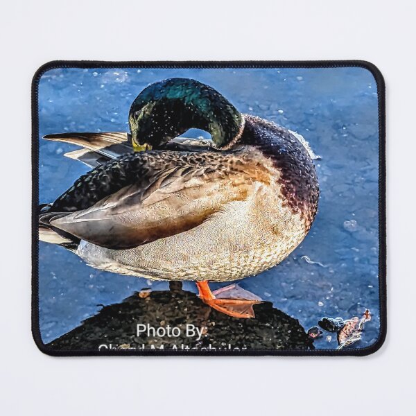 Item preview, Duck  designed and sold by Cheryl Altschuler.