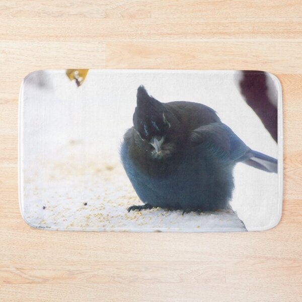 Item preview, Fluffy Steller's Jay designed and sold by Vivar Photo.