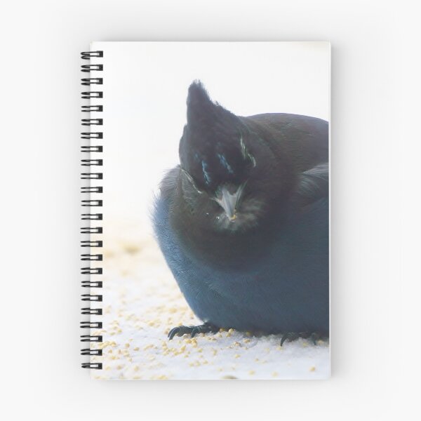 Item preview, Fluffy Steller's Jay designed and sold by Vivar Photo.