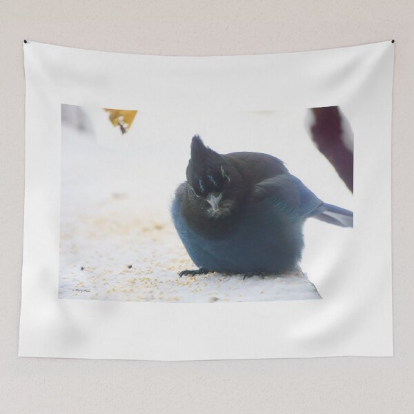 Item preview, Fluffy Steller's Jay designed and sold by Vivar Photo.