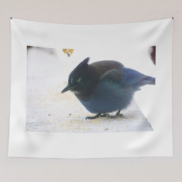 Item preview, Steller's Jay on a Snowy Ledge designed and sold by Vivar Photo.