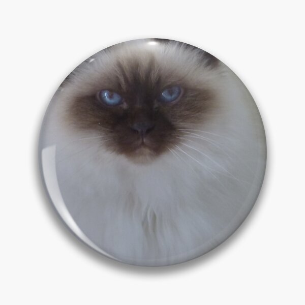 Item preview, Baby Blue Eyes  designed and sold by ginnymac.