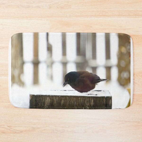 Item preview, Cowbird Feeding on a Snowy Post designed and sold by Vivar Photo.