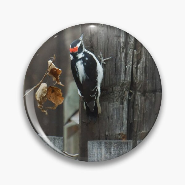Item preview, Woodpecker Pecking designed and sold by Vivar Photo.