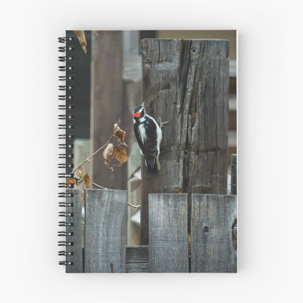 Item preview, Woodpecker Pecking designed and sold by Vivar Photo.