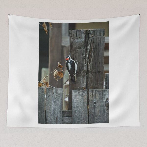 Item preview, Woodpecker Pecking designed and sold by Vivar Photo.