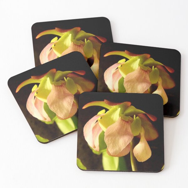 Item preview, Celia's Pink Petals designed and sold by Tippitiwichet.