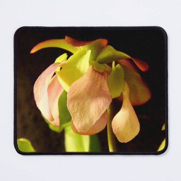 Item preview, Celia's Pink Petals designed and sold by Tippitiwichet.