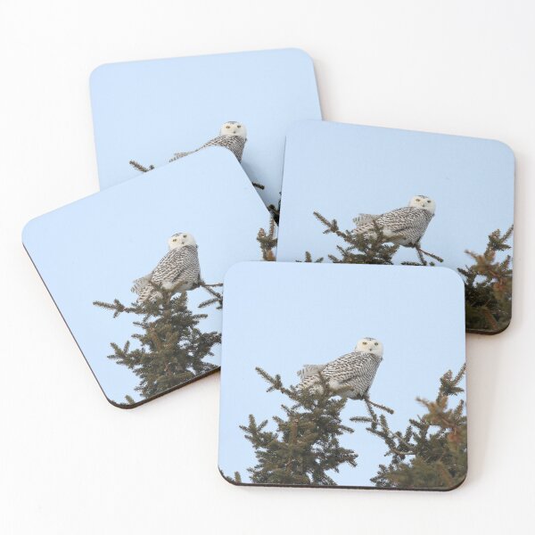 Item preview, Perfect Perch designed and sold by locustgirl.